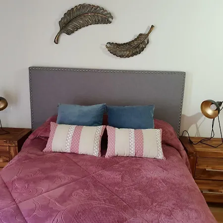 Centro Historico Universidad La Ranita Salmantina *