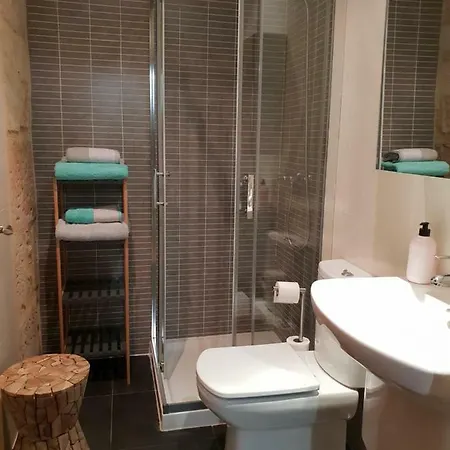 Centro Historico Universidad La Ranita Salmantina Salamanque