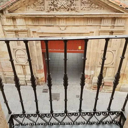 Centro Historico Universidad La Ranita Salmantina Salamanque