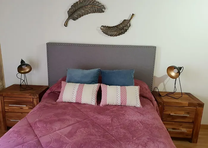 Centro Historico Universidad La Ranita Salmantina *