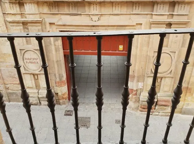 Centro Historico Universidad La Ranita Salmantina Salamanque